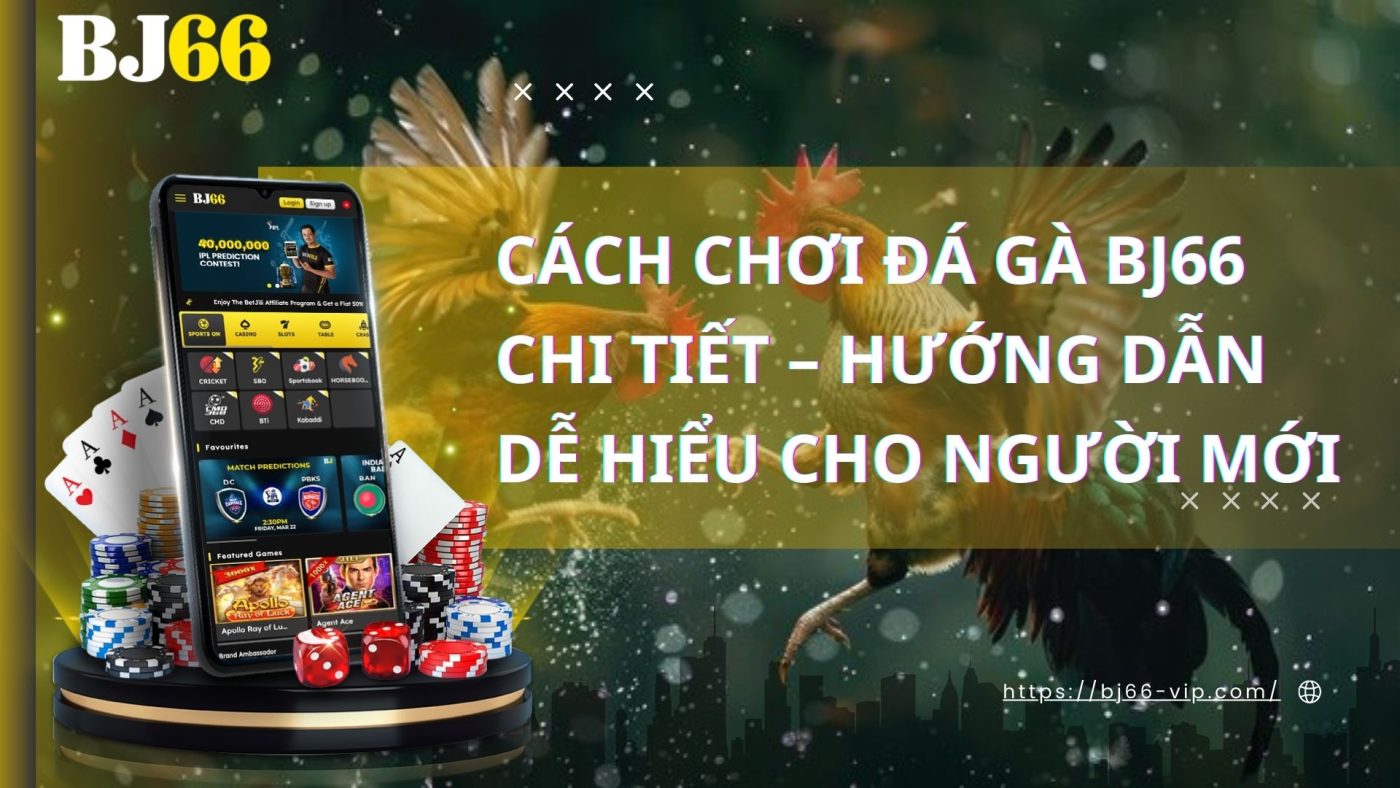 Cách Chơi Đá Gà BJ66 Chi Tiết