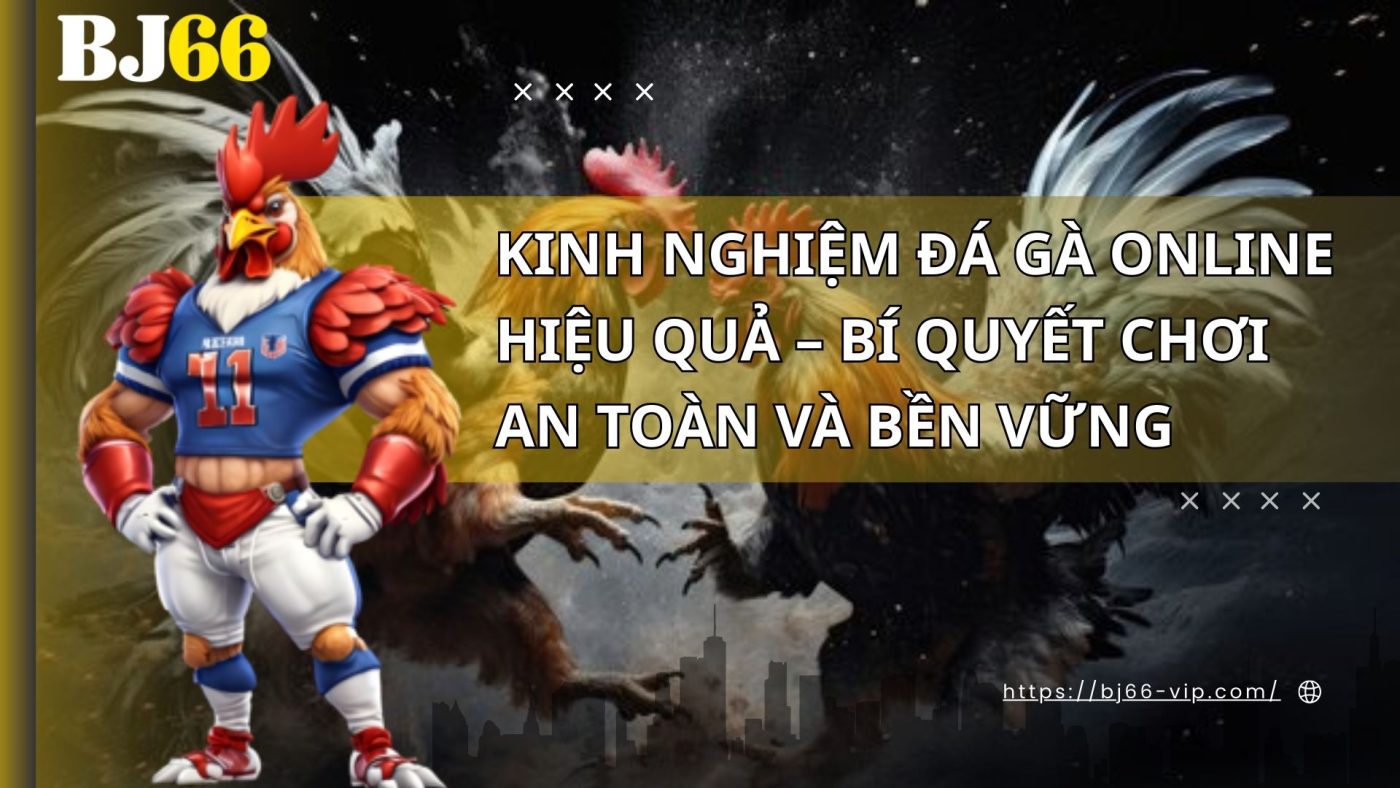 Kinh Nghiệm Đá Gà Online Hiệu Quả