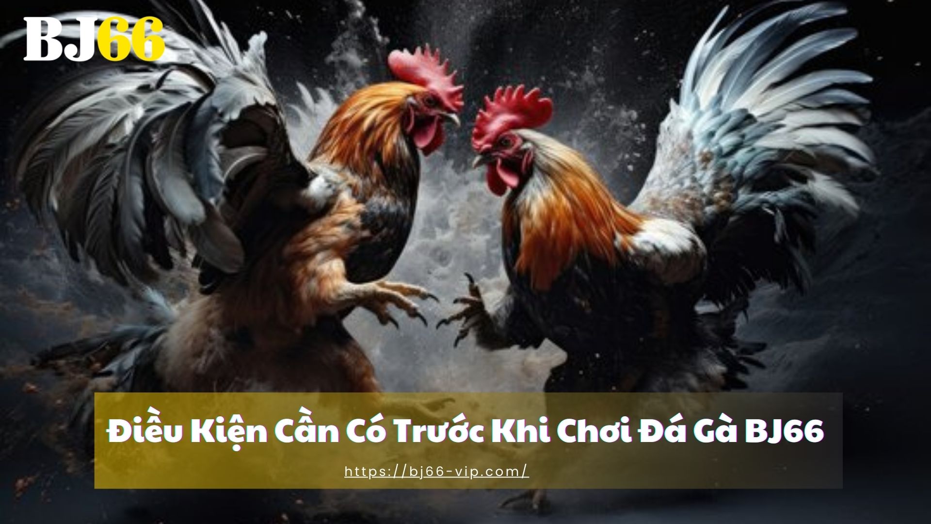 Điều Kiện Cần Có Trước Khi Chơi Đá Gà BJ66