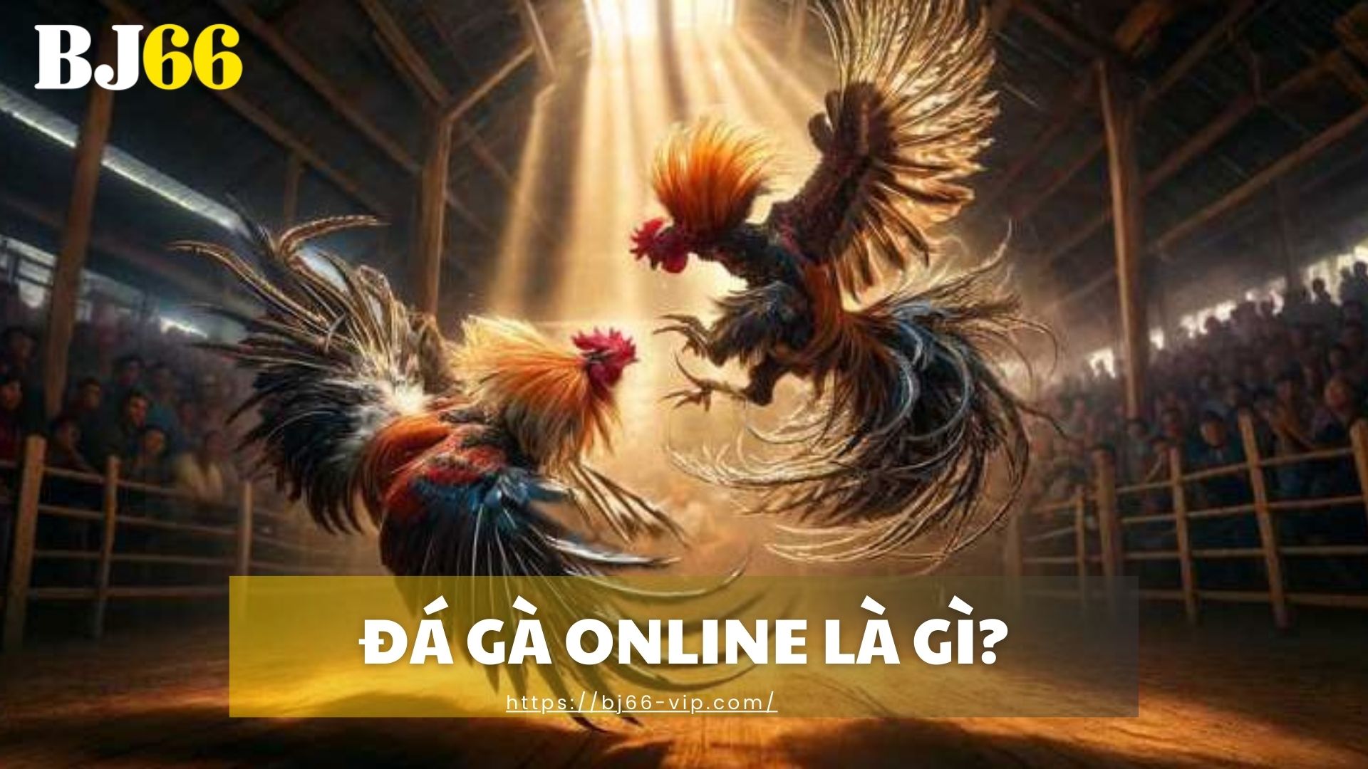 Đá Gà Online Là Gì?